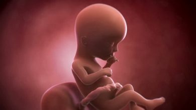 هفته شانزدهم بارداری کودک شما چگونه تغییر می کند